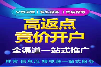 SEM广告投放的技巧与策略——成功案例分享